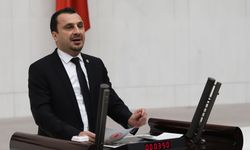 CHP’li Başevirgen Marmara Gölü’nü Meclis Gündemine Taşıdı