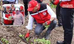 Kaymakam Mustafa Can Tarlaya İndi, Çiftçilerle Birlikte Tütün Dikti