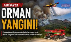 Akhisar’da orman yangını!