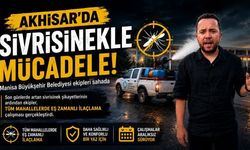 Akhisar’da Sivrisineklere Karşı Kapsamlı Mücadele