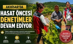 Asma Yapraklarında Pestisit Kontrolü