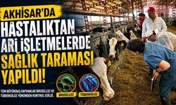 Akhisar'da hastalıktan ari işletmelerde sağlık taraması yapıldı