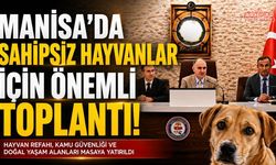 Manisa'da sahipsiz hayvanlara yönelik çalışmalar masaya yatırıldı