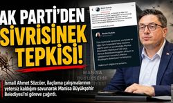 AK Parti’den sivrisinek tepkisi!