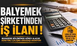 Balyemek Şirketi Muhasebe Personeli Arıyor