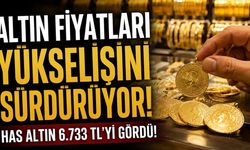 Altın Haftayı Yüksek Seviyede Kapattı: İşte 15 Ağustos Güncel Fiyatları