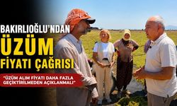 Bakırlıoğlu’ndan Üzüm Fiyatı Çağrısı: “Daha Fazla Geciktirilmeden Açıklanmalı”