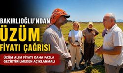 Bakırlıoğlu’ndan Üzüm Fiyatı Çağrısı: “Daha Fazla Geciktirilmeden Açıklanmalı”