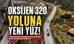 Oksijen 320 Dinlenme Tesisleri Yolunda Asfalt Çalışması