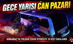 Gece Yarısı Can Pazarı: Yolcu Otobüsü Yoldan Çıktı, 18 Yaralı