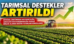 Tarımsal Destekler Artırıldı: 2026 ve 2027 İçin Yeni Tutarlar Belli Oldu
