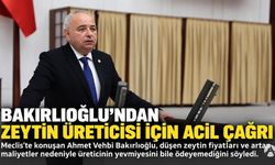 Bakırlıoğlu’ndan Zeytin Üreticileri İçin Acil Önlem Çağrısı: “Çiftçi Yevmiyesini Bile Ödeyemiyor!”