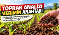 Akhisar İlçe Tarım ve Orman Müdürlüğü’nden Üreticilere Toprak Analizi Uyarısı
