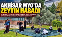 Akhisar MYO Öğrencileri Zeytin Hasadı Yaptı