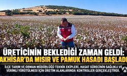 Üreticinin Beklediği Zaman Geldi: Akhisar’da Mısır ve Pamuk Hasadı Başladı