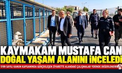 Kaymakam Mustafa Can, Akhisar’daki Doğal Yaşam Alanı’nı İnceledi