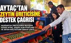 İYİ Parti Manisa İl Başkanı Gözde Aytaç’tan Akhisar’da Zeytin Üreticisine Destek Çağrısı