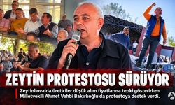 Akhisar’da Zeytin Protestosu Sürüyor: “Zeytin Dalında Kalsın, Emeğimizi Ucuza Vermeyiz!”