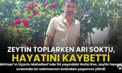 Akhisar’da Zeytin Hasadında Acı Olay: Arı Sokması Sonucu Hayatını Kaybetti