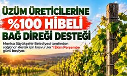 Manisa’da Üzüm Üreticilerine Yüzde 100 Hibeli Bağ Direği Desteği