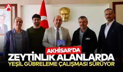 Akhisar'da Zeytinlik Alanlarda Yeşil Gübrelemenin Yaygınlaştırılması Projesi Devam Ediyor