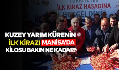 Kuzey Yarımküre'nin İlk Kirazı Manisa'da 3.500 TL'den Satıldı