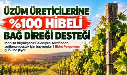 Manisa’da Üzüm Üreticilerine Yüzde 100 Hibeli Bağ Direği Desteği