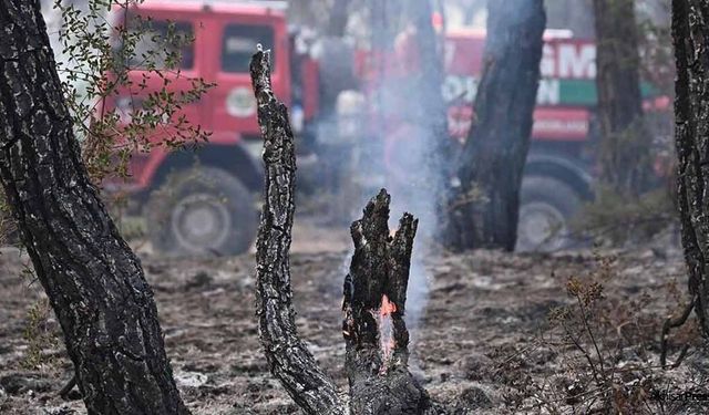 Akhisar Belediyesi, Çanakkale'de yangın söndürmeye destek veriyor!