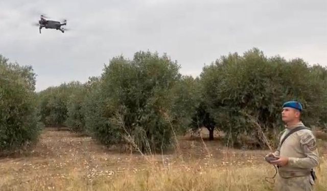 Jandarma zeytinlikleri hırsızlara karşı, gece görüşü ile koruyor