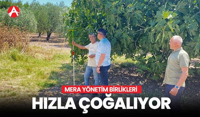 Mera Yönetim Birlikleri Hızla Çoğalıyor