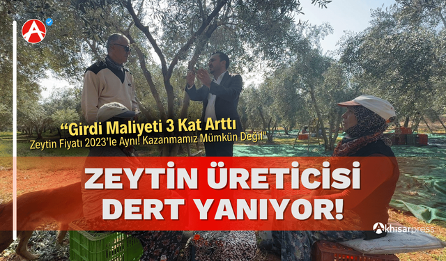 Zeytin Üreticilerinin Feryadı: "Girdi Maliyeti 3 Kat Arttı, Zeytin Fiyatı 2023’le Aynı!