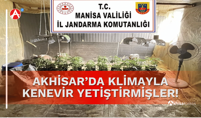 Akhisar’da İklimlendirme Sistemiyle Kenevir Yetiştiren Şahsa Operasyon