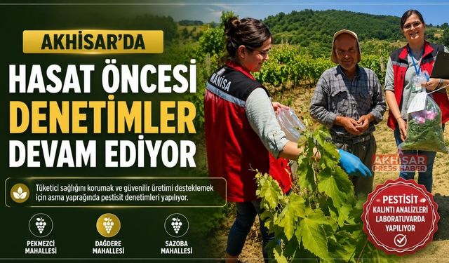 Asma Yapraklarında Pestisit Kontrolü