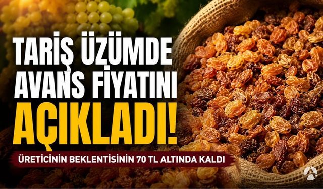 TARİŞ Kuru Üzümde Avans Fiyatını Açıkladı