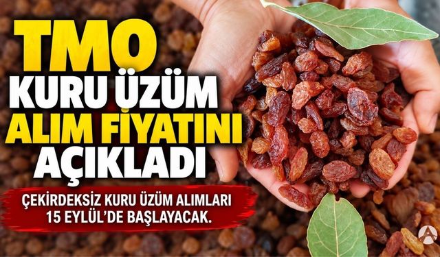 TMO Kuru Üzüm Alım Fiyatını Açıkladı