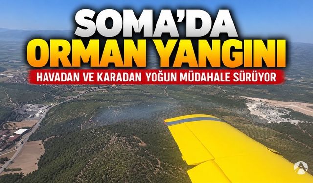 Soma’da Orman Yangını: Havadan Ve Karadan Yoğun Müdahale