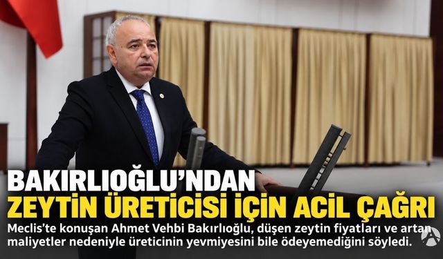 Bakırlıoğlu’ndan Zeytin Üreticileri İçin Acil Önlem Çağrısı: “Çiftçi Yevmiyesini Bile Ödeyemiyor!”