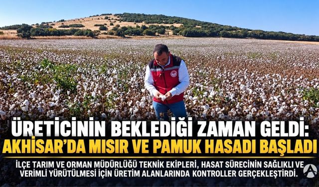 Üreticinin Beklediği Zaman Geldi: Akhisar’da Mısır ve Pamuk Hasadı Başladı