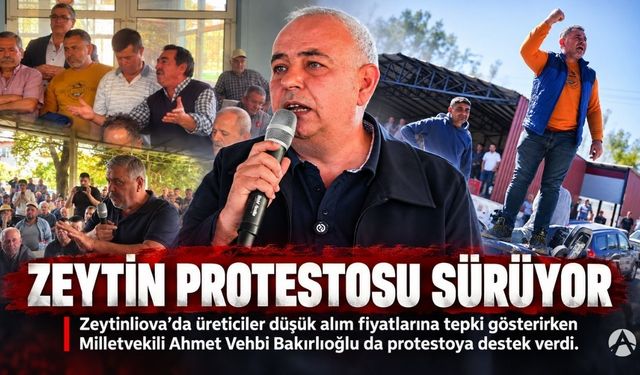 Akhisar’da Zeytin Protestosu Sürüyor: “Zeytin Dalında Kalsın, Emeğimizi Ucuza Vermeyiz!”