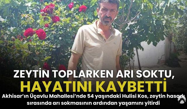 Akhisar’da Zeytin Hasadında Acı Olay: Arı Sokması Sonucu Hayatını Kaybetti