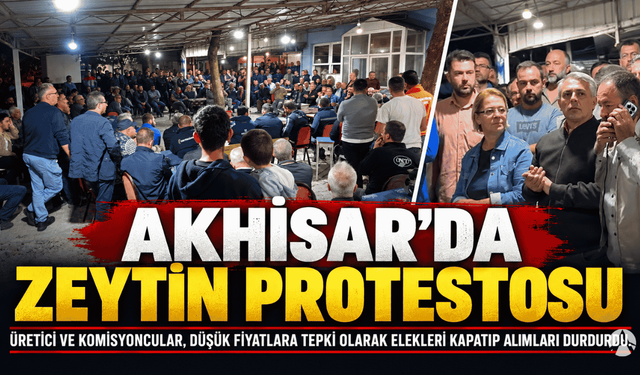 Akhisar'da zeytin protestosu; Elekler Kapatıldı, Alımlar Durduruldu!