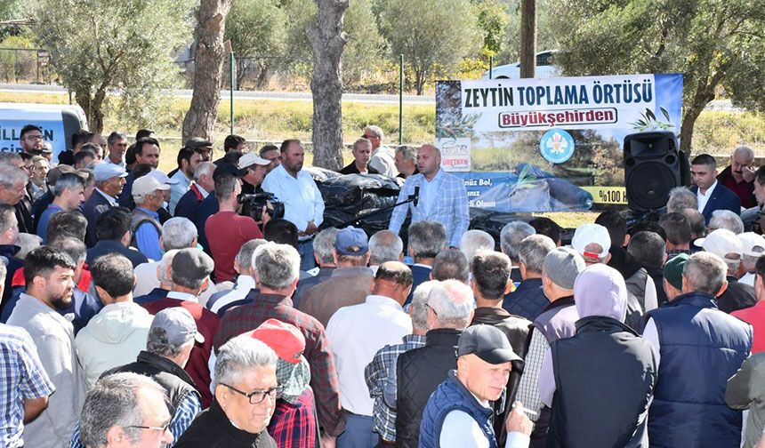 Büyükşehir'den Akhisar’da 1680 üreticiye 6.720 zeytin toplama örtüsü desteği