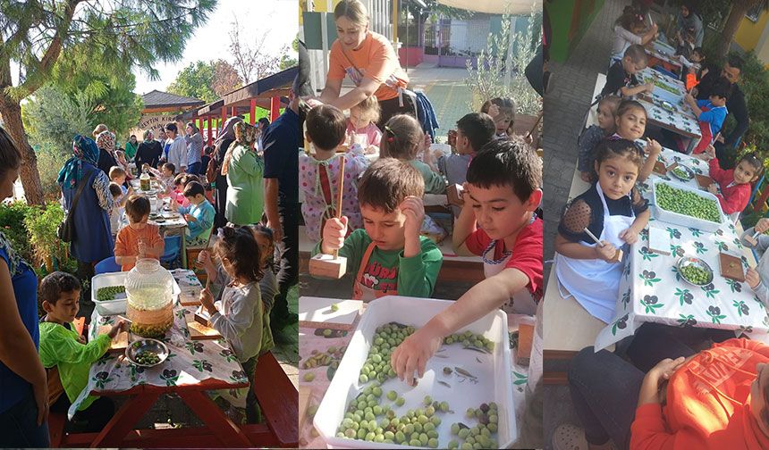 Anaokulu öğrencilerinin Zeytin Kırma Şenliği coşkuyla gerçekleşti