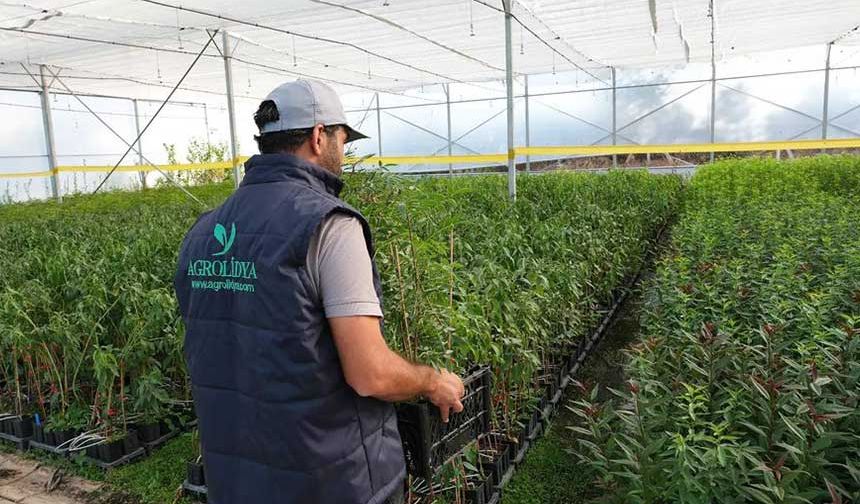 Akhisar’ın Markası Agrolidya, Tarım Sektöründe Yükselişini Sürdürüyor