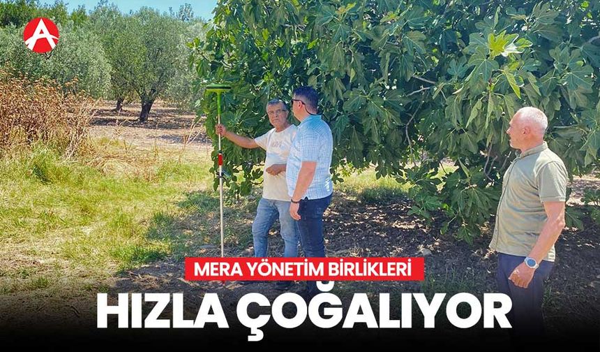 Mera Yönetim Birlikleri Hızla Çoğalıyor