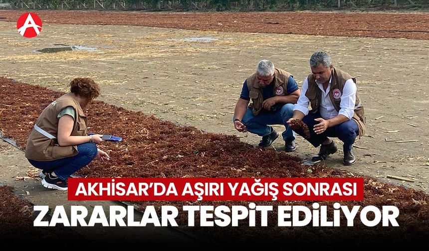 Akhisar'da aşırı yağışta zarar gören ürünler tespit ediliyor