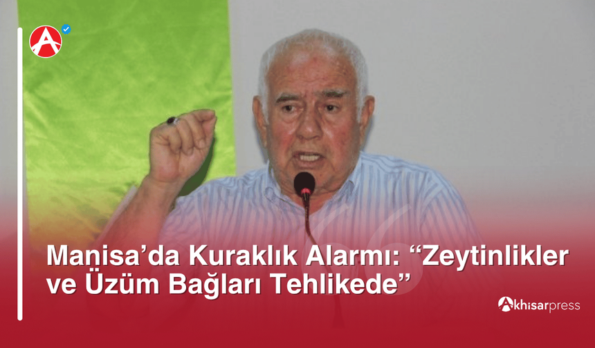 Manisa’da Kuraklık Alarmı: “Zeytinlikler ve Üzüm Bağları Tehlikede”
