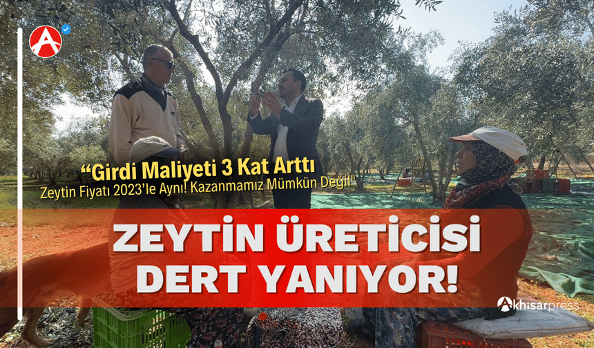 Zeytin Üreticilerinin Feryadı: "Girdi Maliyeti 3 Kat Arttı, Zeytin Fiyatı 2023’le Aynı!