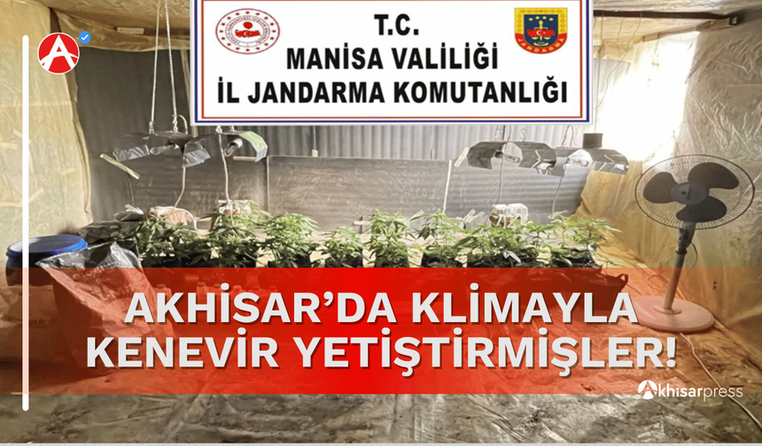 Akhisar’da İklimlendirme Sistemiyle Kenevir Yetiştiren Şahsa Operasyon