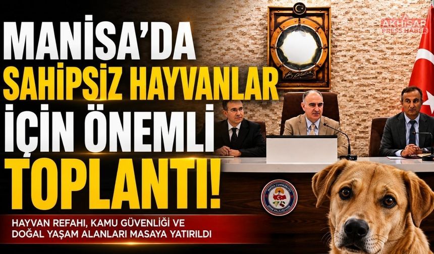 Manisa'da sahipsiz hayvanlara yönelik çalışmalar masaya yatırıldı
